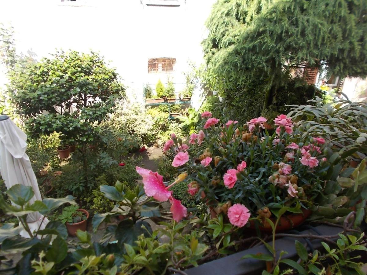 دونغو B&B Zia Lina المظهر الخارجي الصورة
